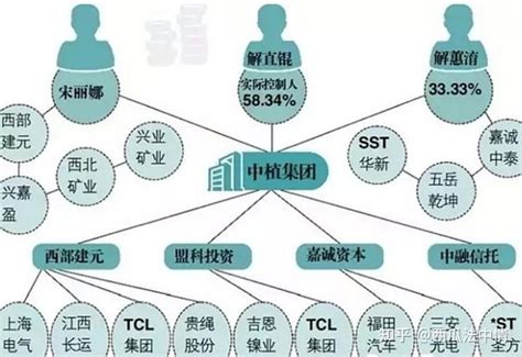 中植系的中央靠山是谁|案例解读 ｜“中植系